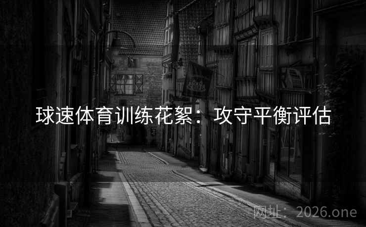 球速体育训练花絮:攻守平衡评估