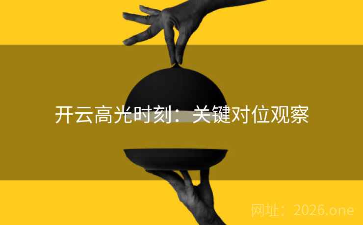 开云高光时刻:关键对位观察 第2张 开云高光时刻:关键对位观察 第2张