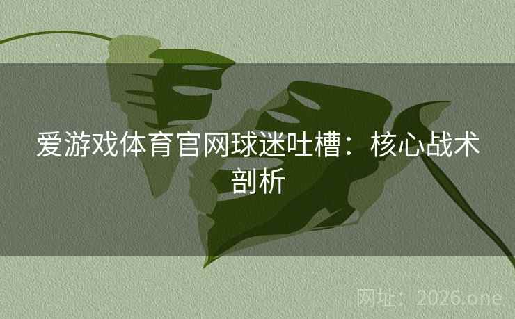 爱游戏体育官网球迷吐槽:核心战术剖析 第1张 爱游戏体育官网球迷吐槽:核心战术剖析 第1张