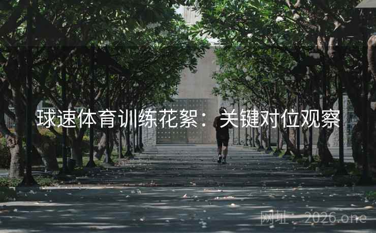 球速体育训练花絮：关键对位观察