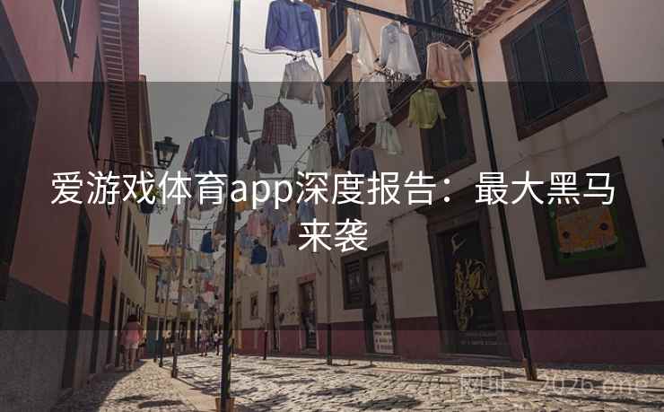 爱游戏体育app深度报告:最大黑马来袭 第1张 爱游戏体育app深度报告:最大黑马来袭 第1张