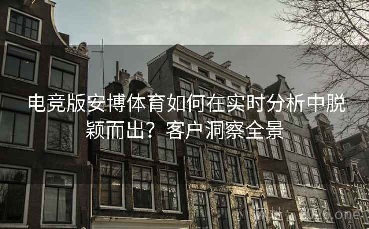 电竞版安博体育如何在实时分析中脱颖而出?客户洞察全景 第2张 电竞版安博体育如何在实时分析中脱颖而出?客户洞察全景 第2张